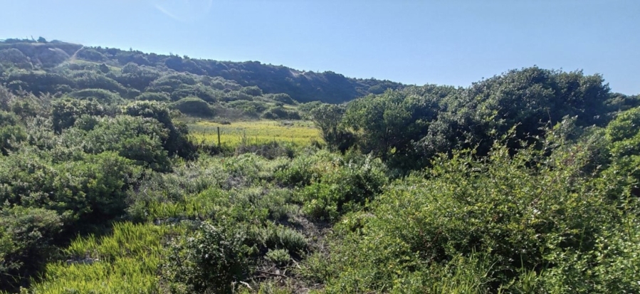 0 Bedroom Property for Sale in Oyster Bay Eastern Cape